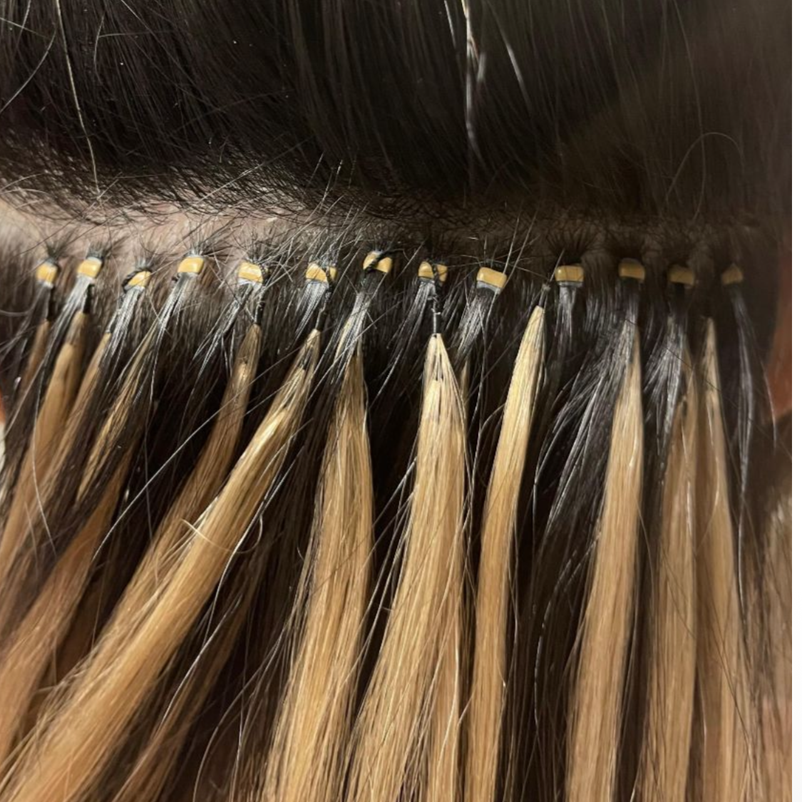 feather strands